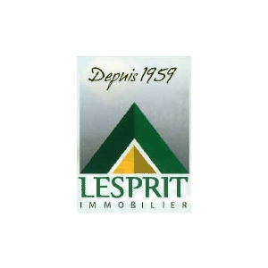 Agence immobiliere LESPRIT IMMOBILIER