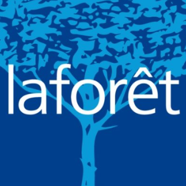 Agence immobiliere LAFORÊT IMMOBILIER DIJON- MONGE