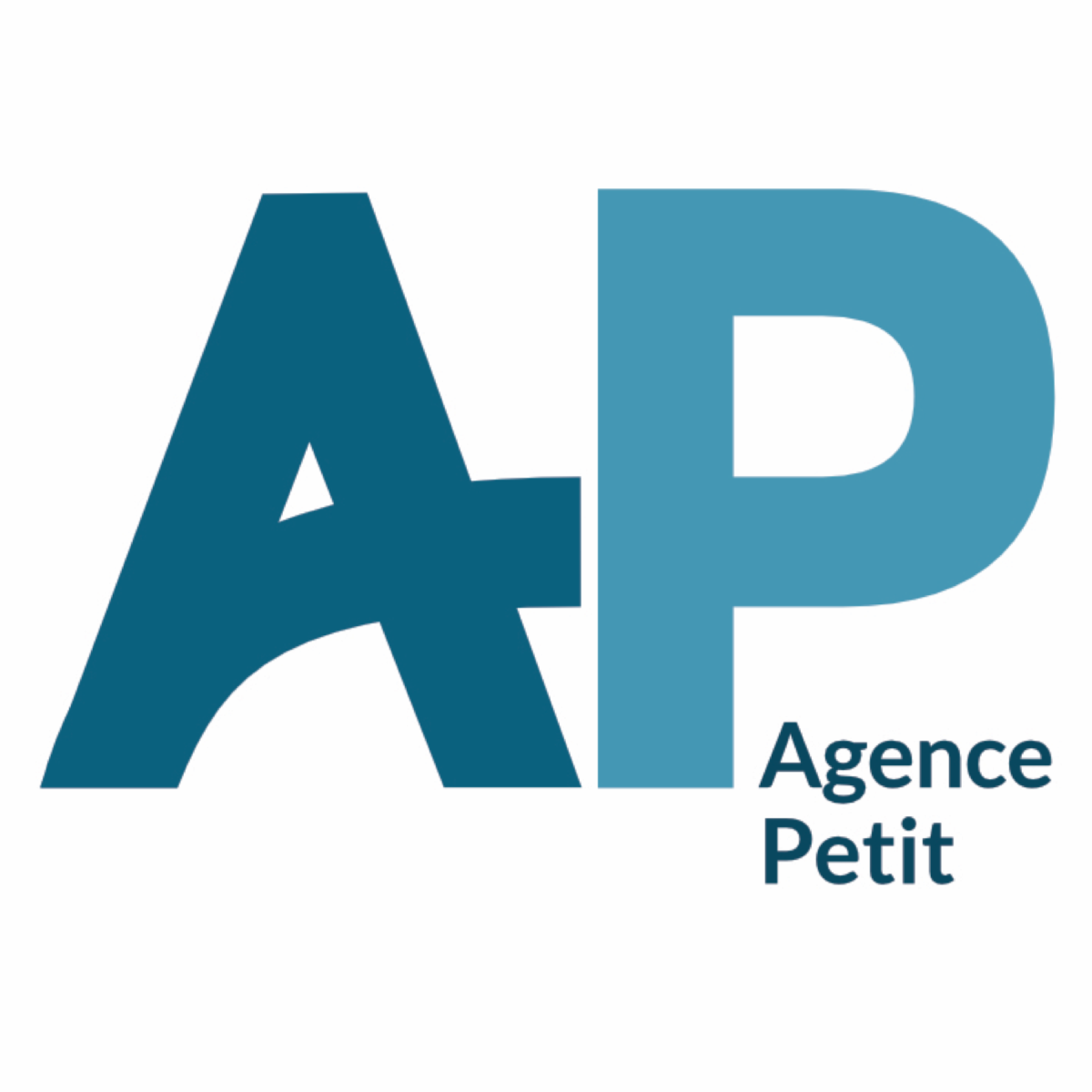 Agence immobiliere AGENCE PETIT